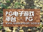 种植基地七