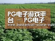 种植基地五(图1)