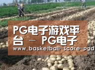 种植基地八