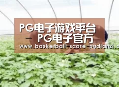 种植基地三