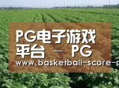 种植基地五