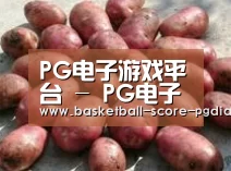产品展示标题5