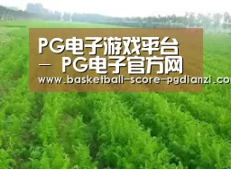 种植基地四