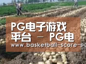 种植基地七(图1)