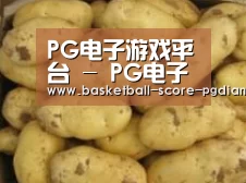 产品展示标题6