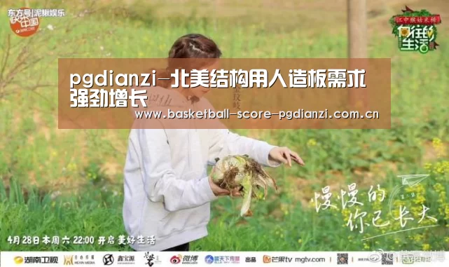 pgdianzi-北美结构用人造板需求强劲增长(图3) pg电子入口