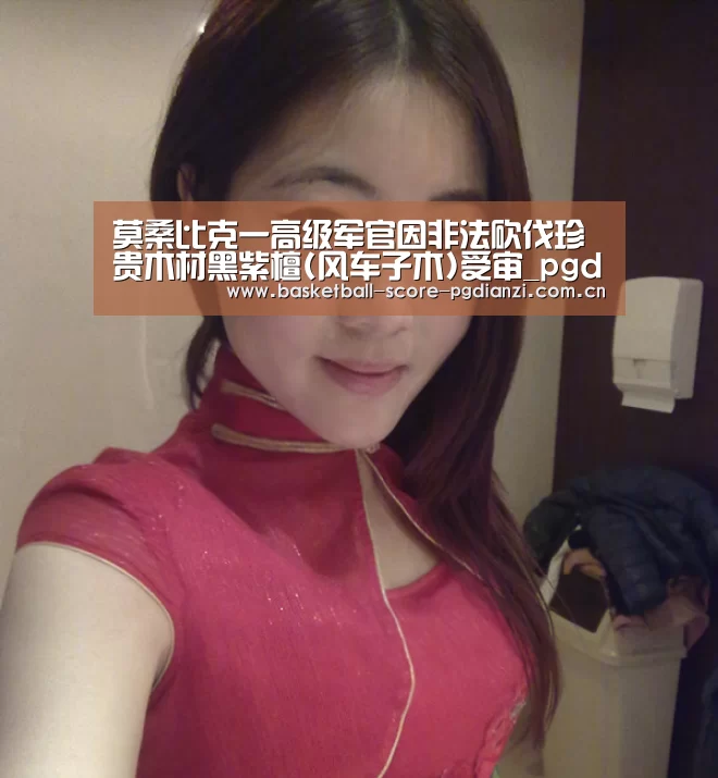 莫桑比克一高级军官因非法砍伐珍贵木材黑紫檀(风车子木)受审_pgdianzi(图1) pg电子入口