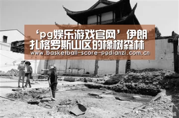 ‘pg娱乐游戏官网’伊朗扎格罗斯山区的橡树森林境况堪忧(图2) ‘pg娱乐游戏官网’伊朗扎格罗斯山区的橡树森林境况堪忧(图2)