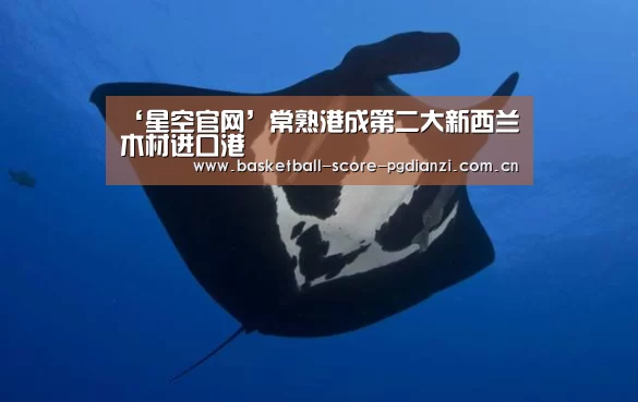 ‘星空官网’常熟港成第二大新西兰木材进口港(图4) 星空官网